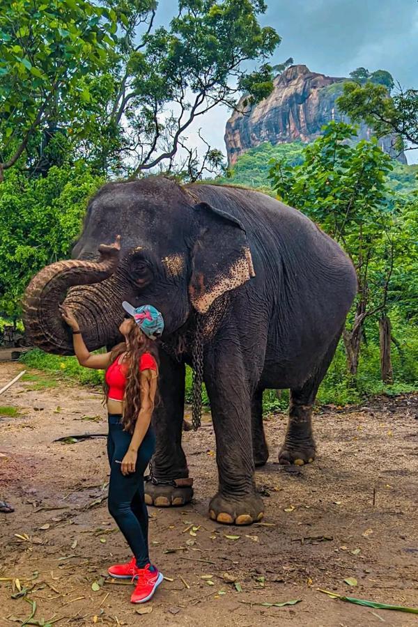 Lakmal Homestay ,10 Minutes To Sigiriya Rock Экстерьер фото