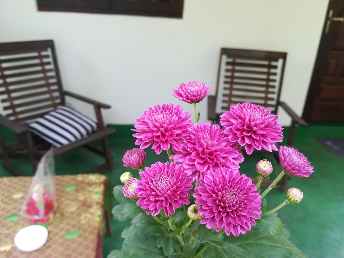 Lakmal Homestay ,10 Minutes To Sigiriya Rock Экстерьер фото